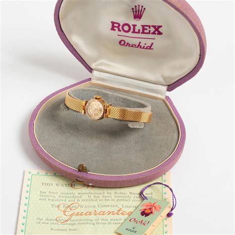 rolex orchard|rolex orchid price.